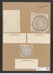 Campylodiscus taeniatus A. Schm. (de-Toni-Nr.: Genus 57, Species 2485) Zeichnungen Sammlung Grunow Nr. 4991 (NHMW-BOT-W0373233)